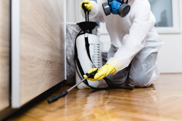 Best Mosquito Control Services  in Almedia, PA