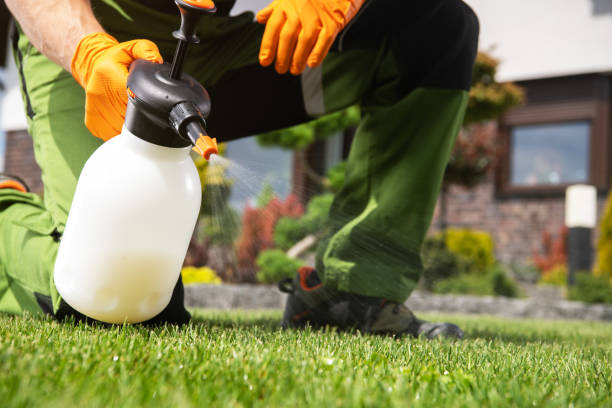 Best Emergency Pest Control  in Almedia, PA